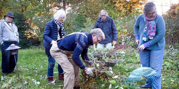 Seniorboliger og seniorkollektiver - ideer, udvikling og byggeri